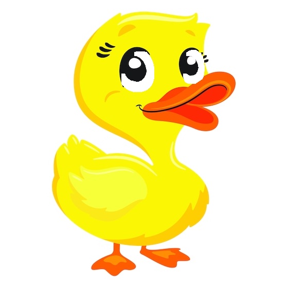 Duck Decal - vinyl decal by Growing Tree Gallery