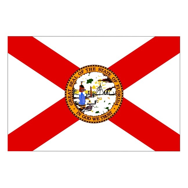 Florida Flag Car Decal - vinyl decal by Growing Tree Gallery