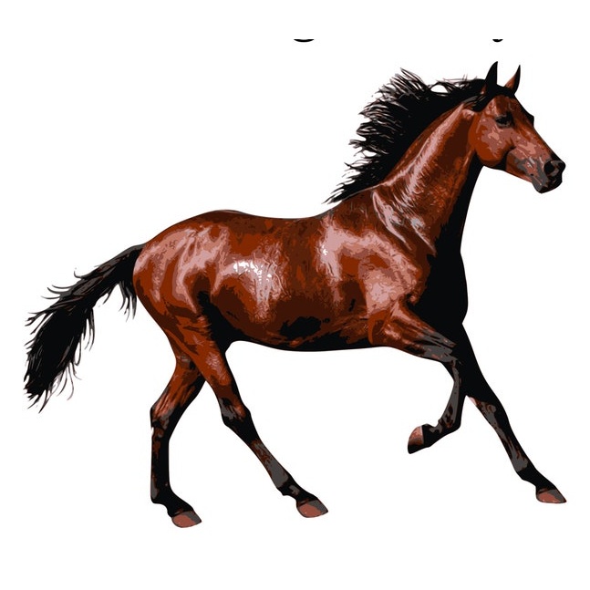 Horse Decal - Laptop sticker - Car decal- Outdoor Vinyl -Indoor Vinyl - vinyl decal by Growing Tree Gallery