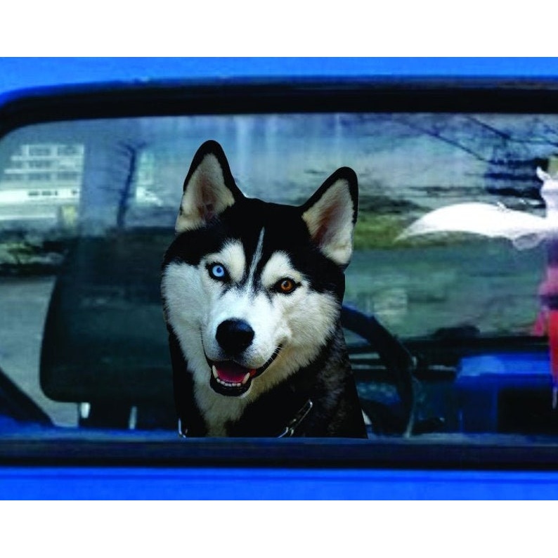 Realistic Husky Sticker,Husky car decal - vinyl decal by Growing Tree Gallery