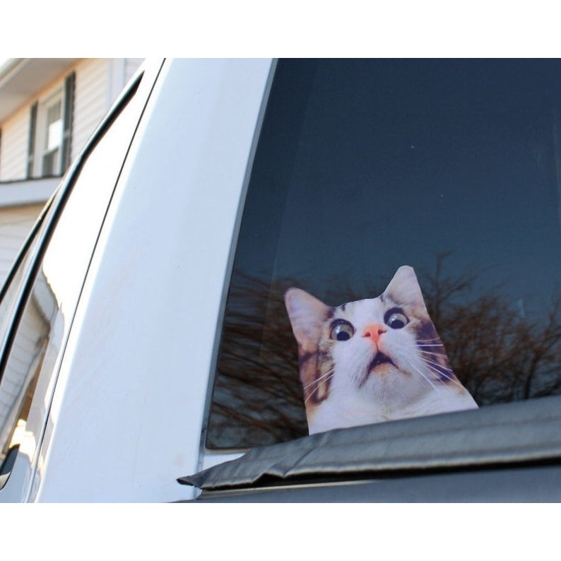 Scaredy cat sticker - vinyl decal by Growing Tree Gallery